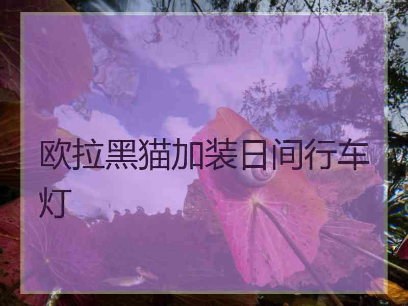 欧拉黑猫加装日间行车灯