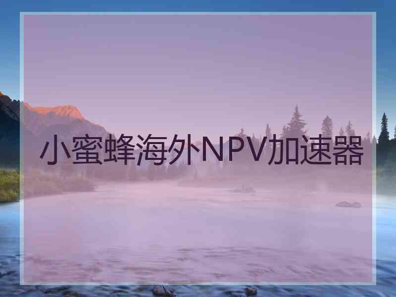小蜜蜂海外NPV加速器