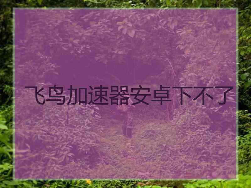 飞鸟加速器安卓下不了