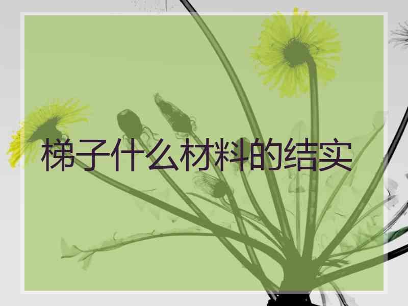 梯子什么材料的结实