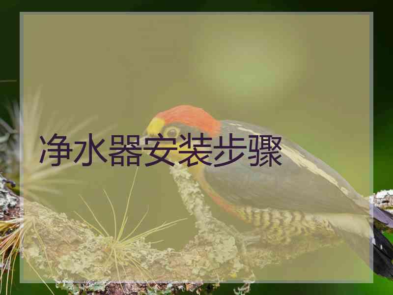 净水器安装步骤