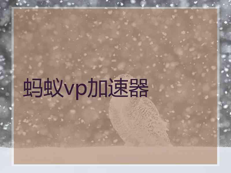 蚂蚁vp加速器