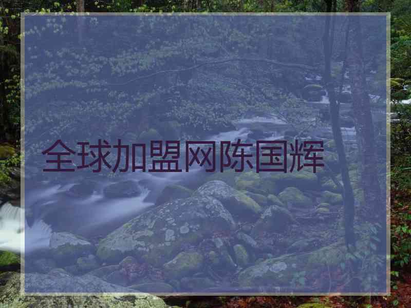 全球加盟网陈国辉