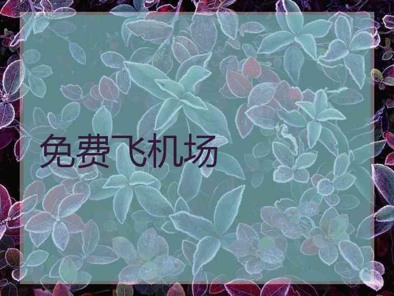 免费飞机场