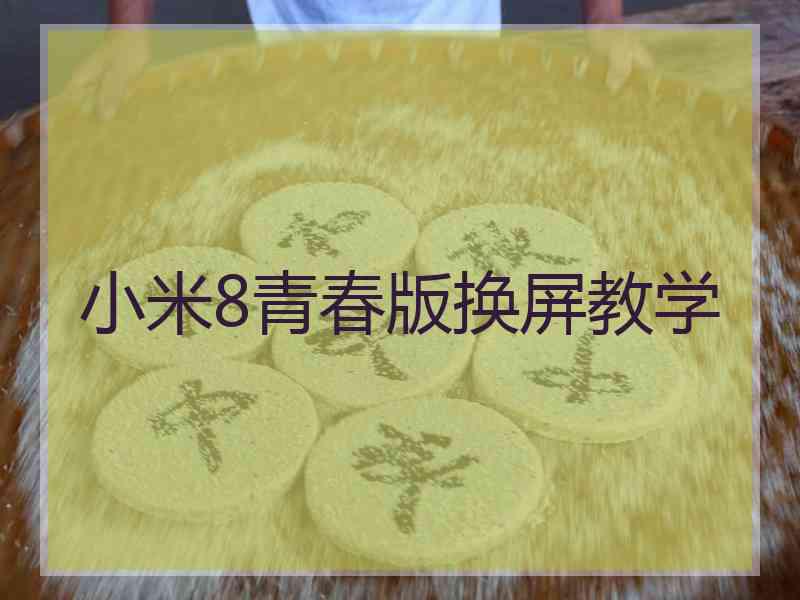 小米8青春版换屏教学