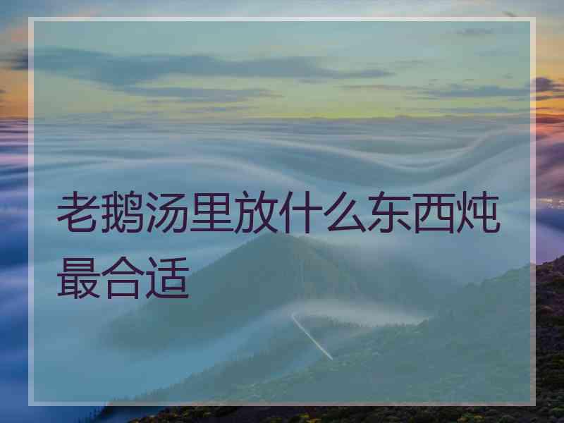 老鹅汤里放什么东西炖最合适