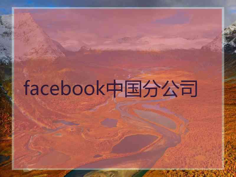 facebook中国分公司