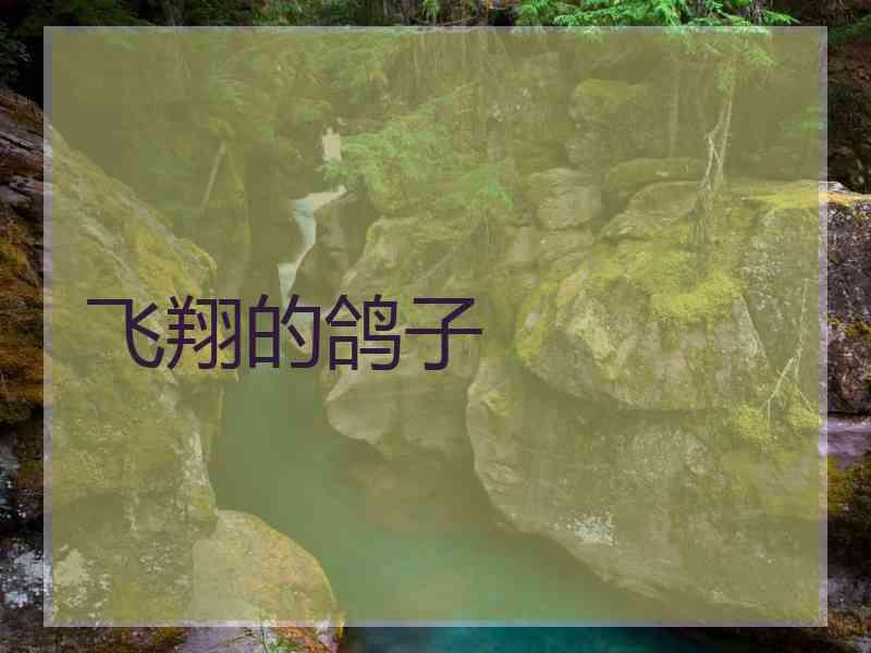 飞翔的鸽子
