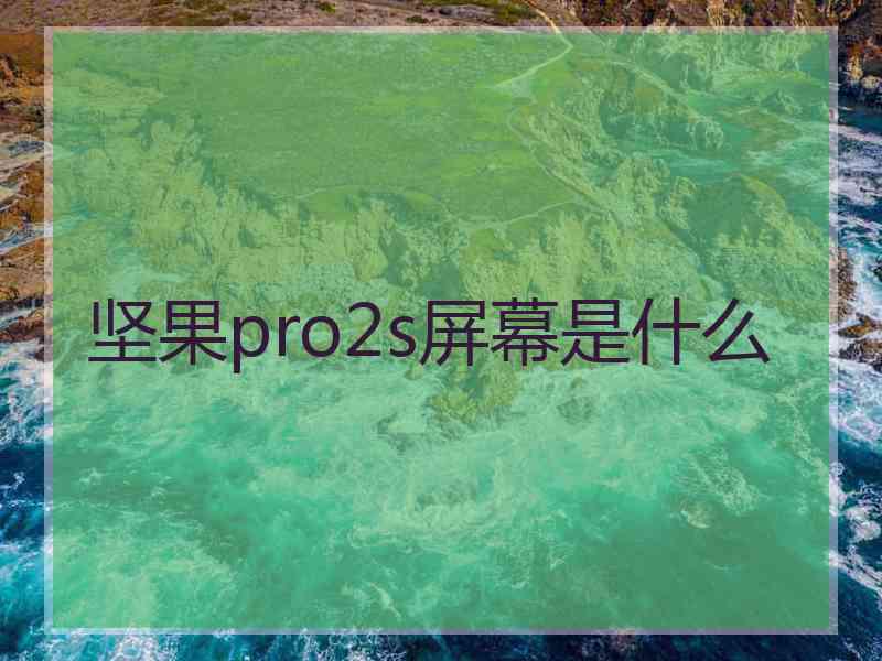 坚果pro2s屏幕是什么