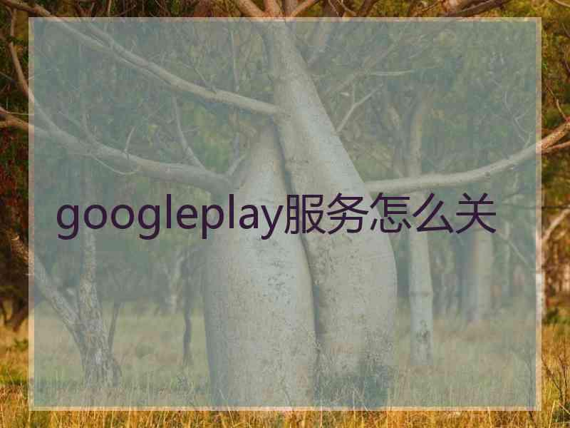 googleplay服务怎么关