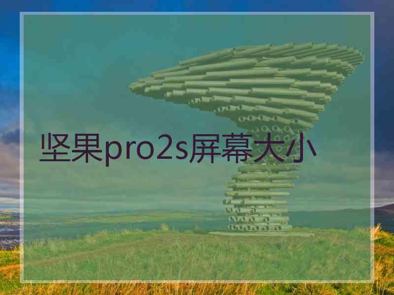 坚果pro2s屏幕大小