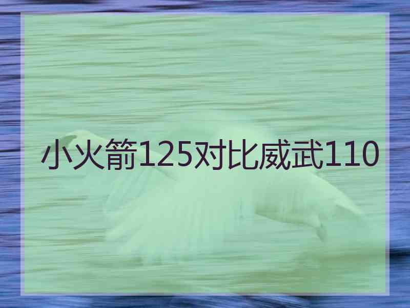 小火箭125对比威武110
