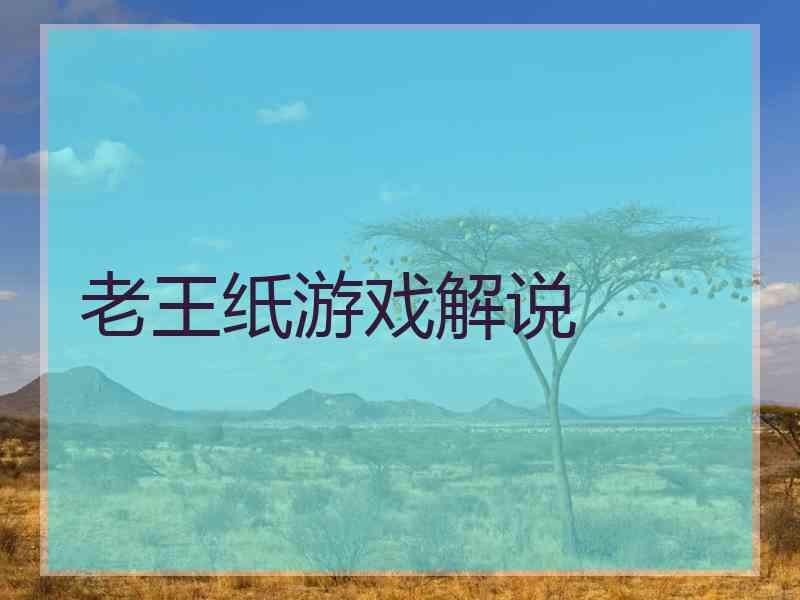 老王纸游戏解说