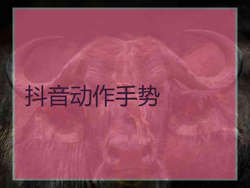 抖音动作手势