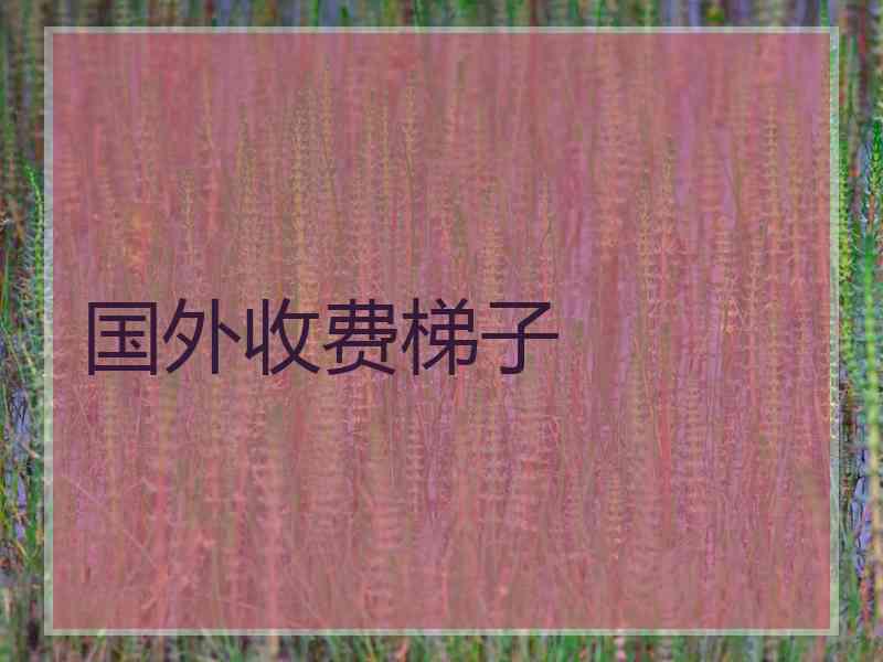 国外收费梯子