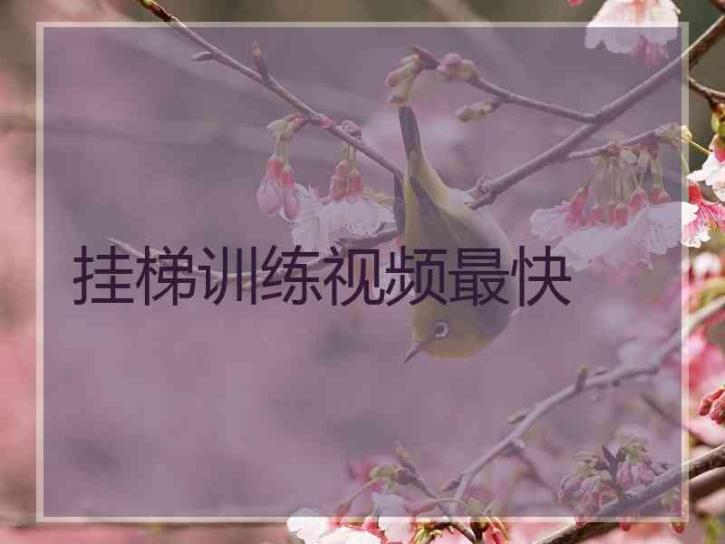 挂梯训练视频最快