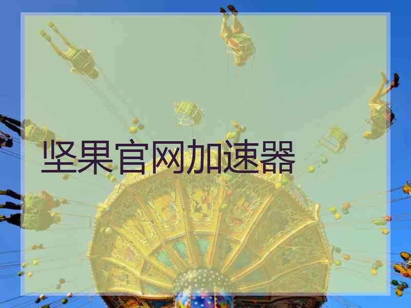 坚果官网加速器