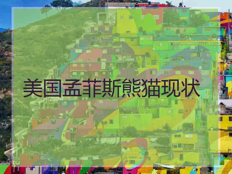美国孟菲斯熊猫现状