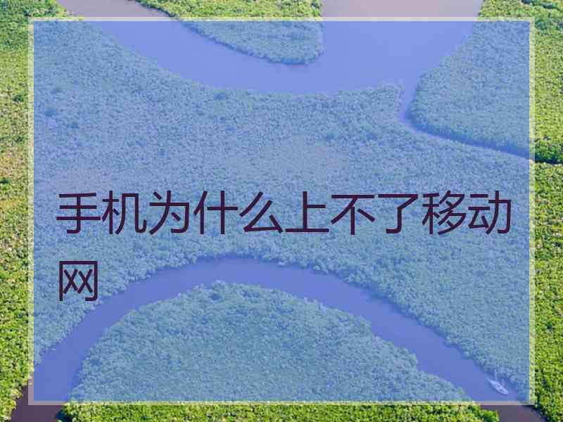 手机为什么上不了移动网