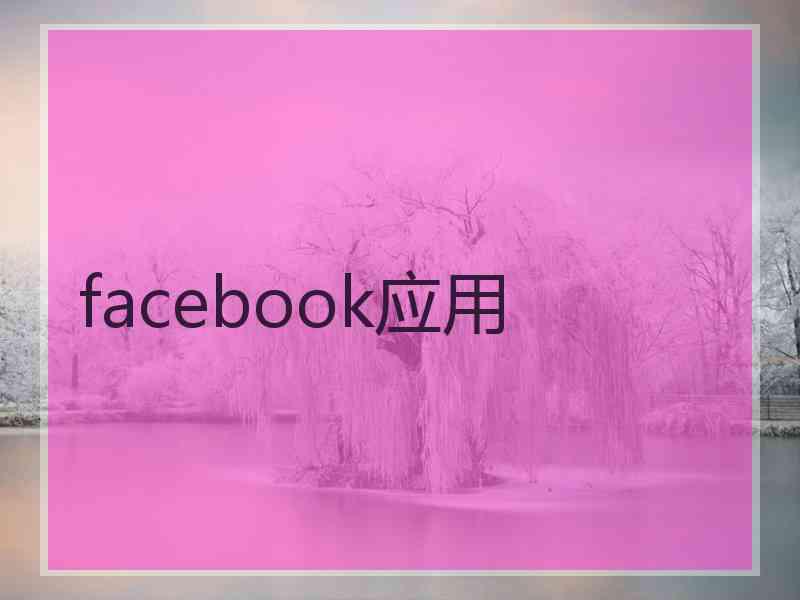 facebook应用