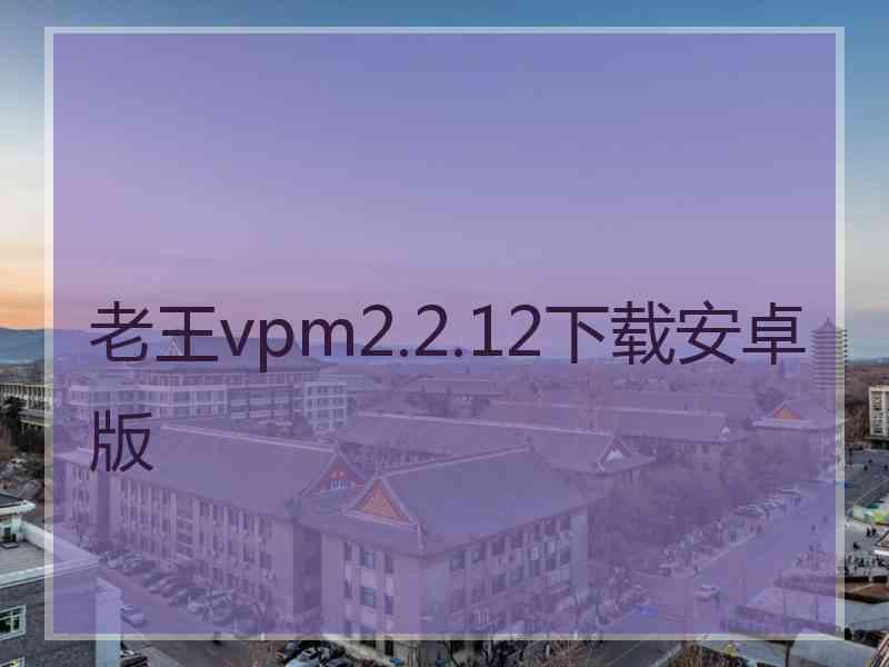 老王vpm2.2.12下载安卓版