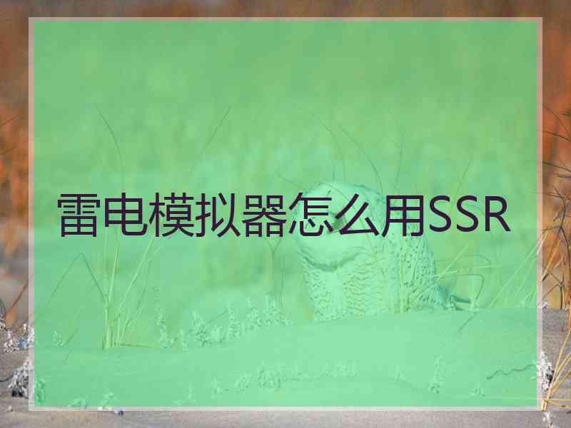 雷电模拟器怎么用SSR
