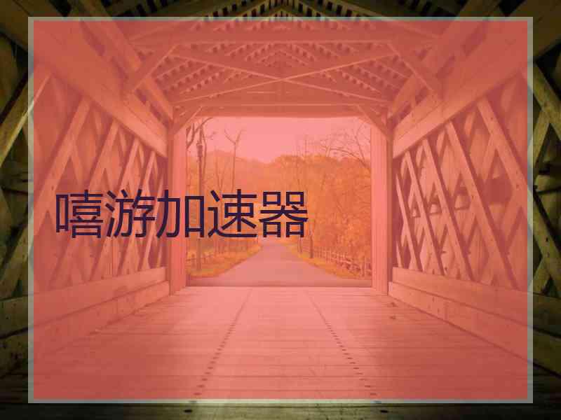 嘻游加速器