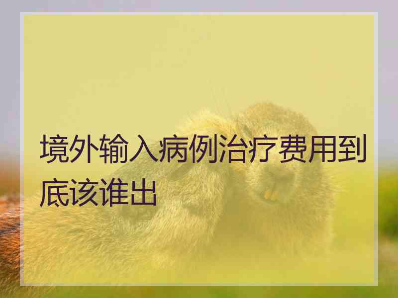 境外输入病例治疗费用到底该谁出