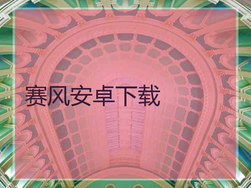 赛风安卓下载