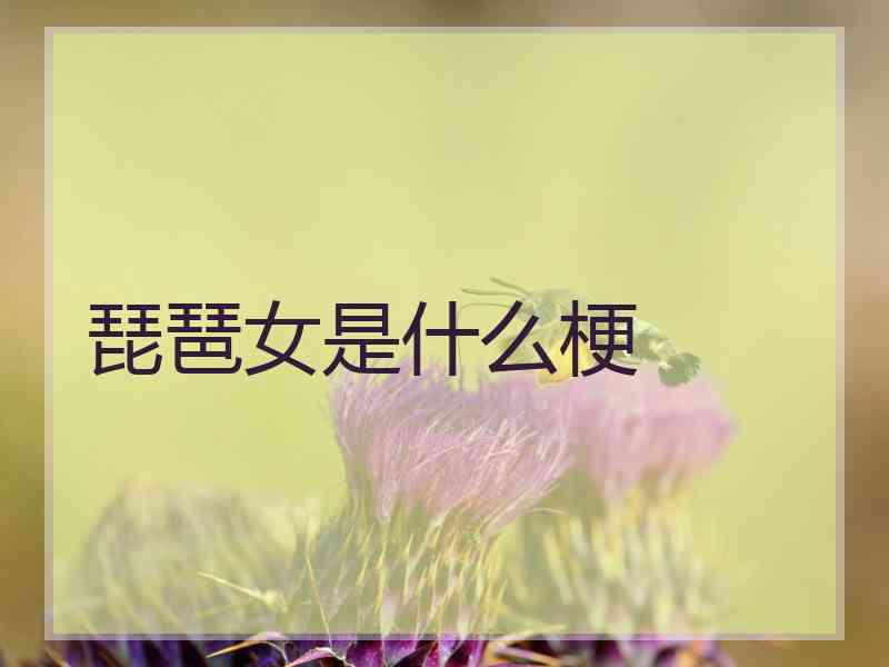 琵琶女是什么梗