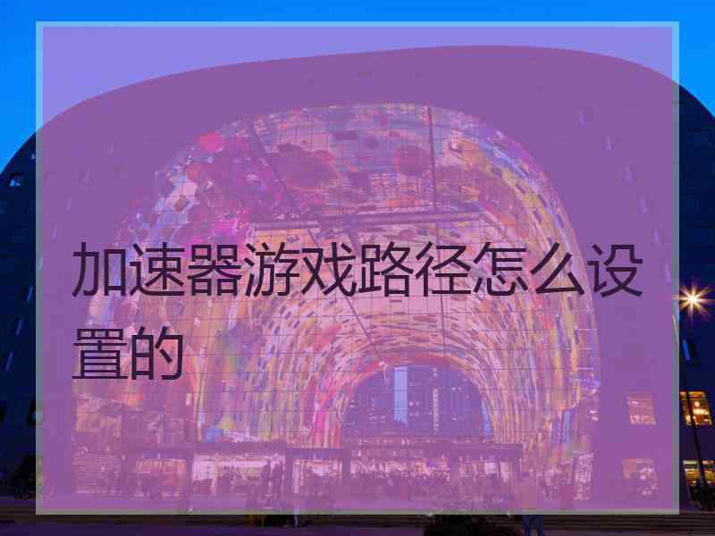 加速器游戏路径怎么设置的