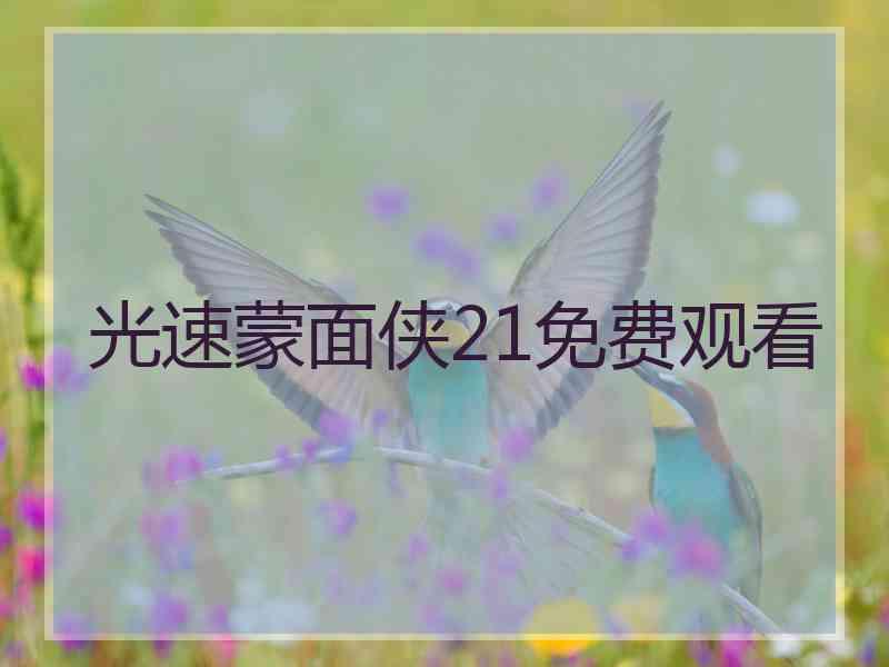 光速蒙面侠21免费观看