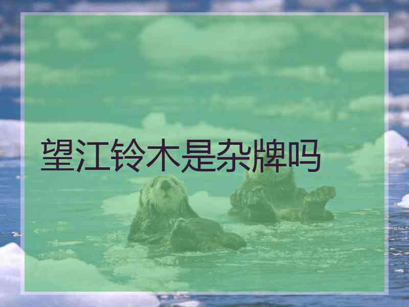 望江铃木是杂牌吗