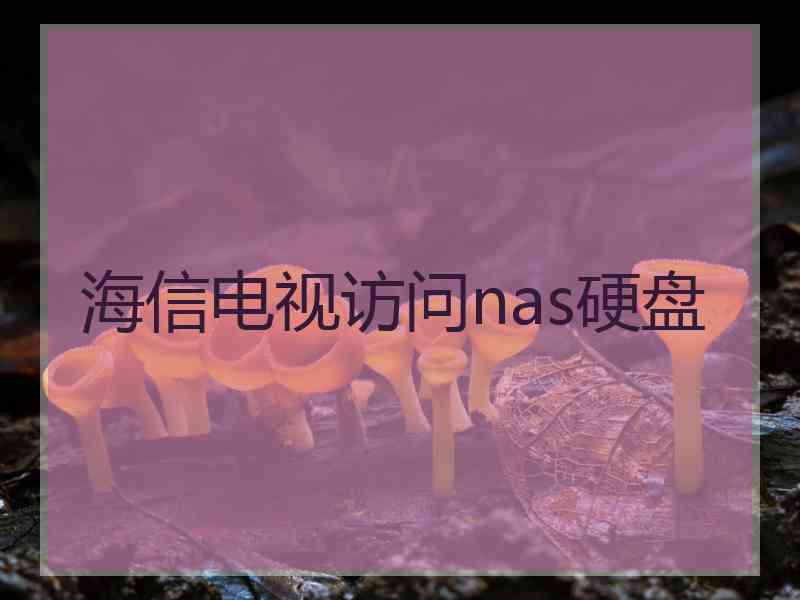 海信电视访问nas硬盘