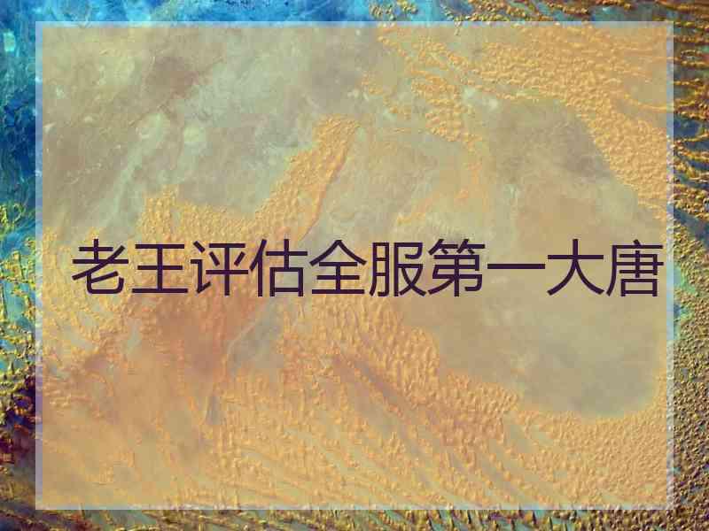 老王评估全服第一大唐