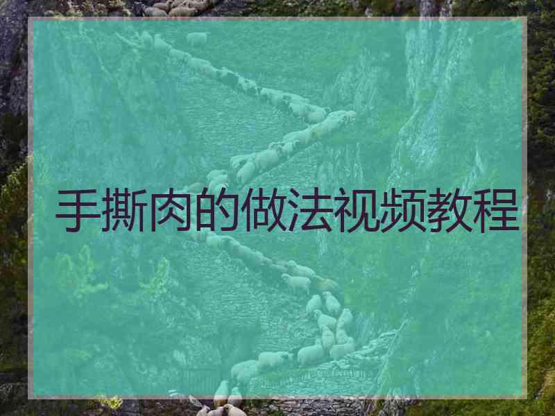 手撕肉的做法视频教程