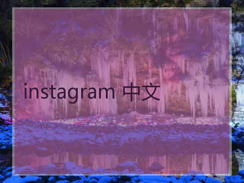 instagram 中文