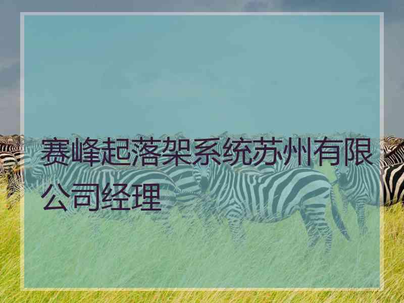 赛峰起落架系统苏州有限公司经理