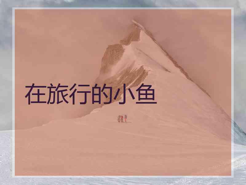 在旅行的小鱼