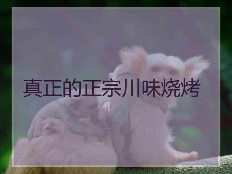 真正的正宗川味烧烤