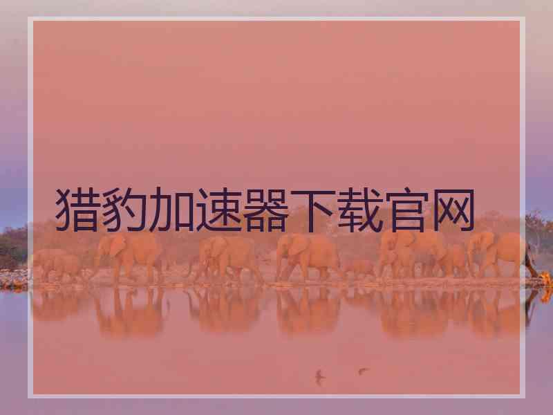 猎豹加速器下载官网
