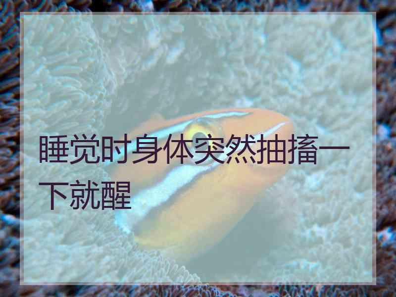 睡觉时身体突然抽搐一下就醒