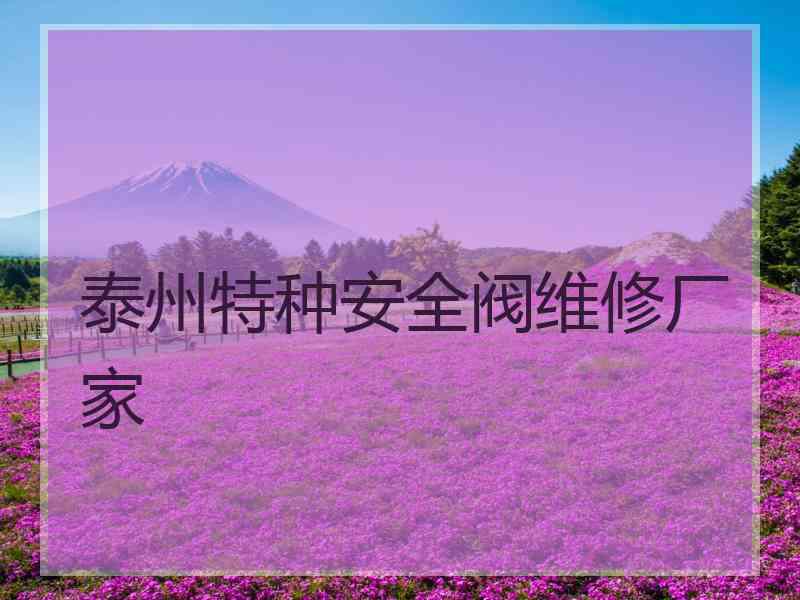 泰州特种安全阀维修厂家
