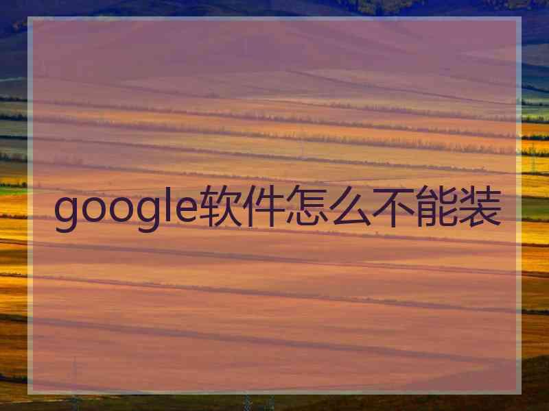 google软件怎么不能装