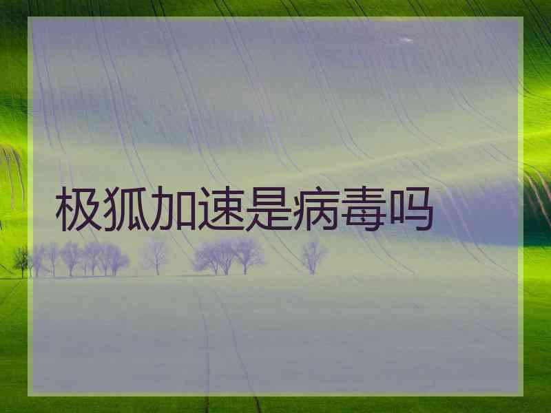 极狐加速是病毒吗