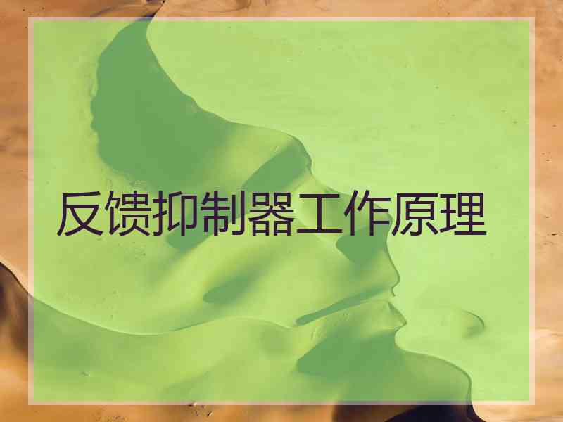 反馈抑制器工作原理