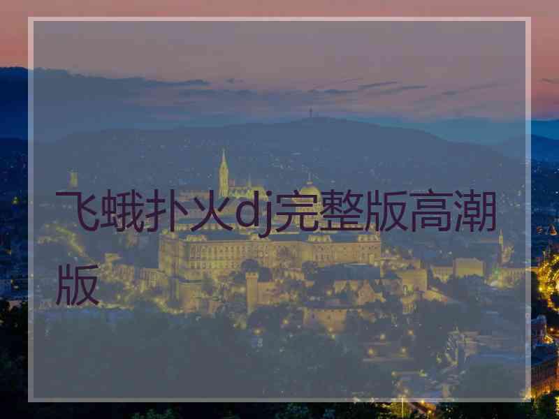 飞蛾扑火dj完整版高潮版
