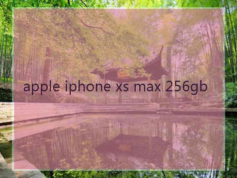 apple iphone xs max 256gb