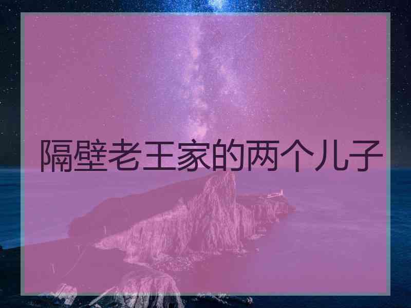 隔壁老王家的两个儿子