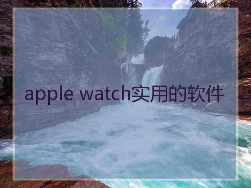 apple watch实用的软件